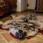 Как правильно разместить шкуры животных в спальне