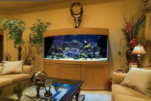 Большой аквариум для создания привлекательной спальни