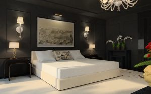 Дизайн интерьера спальни в темных черных цветах