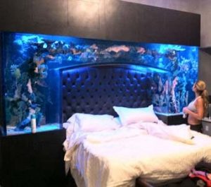 Как использовать аквариум в спальне