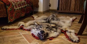 Как правильно разместить шкуры животных в спальне