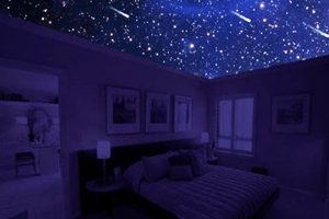 Спальня со звездным небом