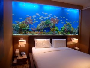 Стоит ли использовать аквариум в спальне
