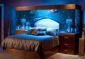 Выбираем аквариум в спальню