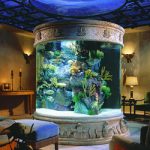 Виды аквариумов и способы их размещения