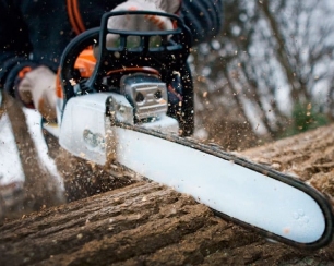 Рекомендации по выбору бензопилы