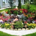 Альпийские горки в своем саду: элементы и уход